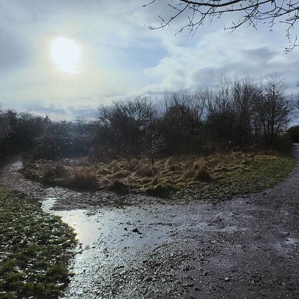 A river with trees on the side.