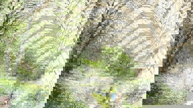 Oman Botanical Gardens