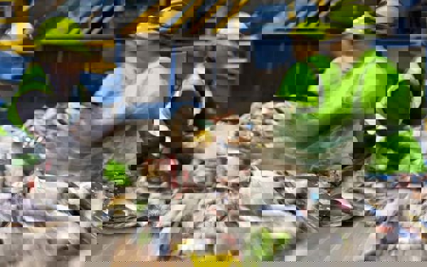 Recycling facility