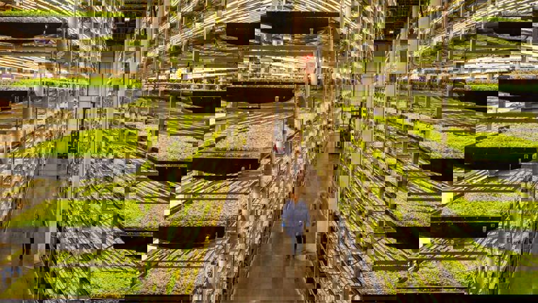 Vertical farm