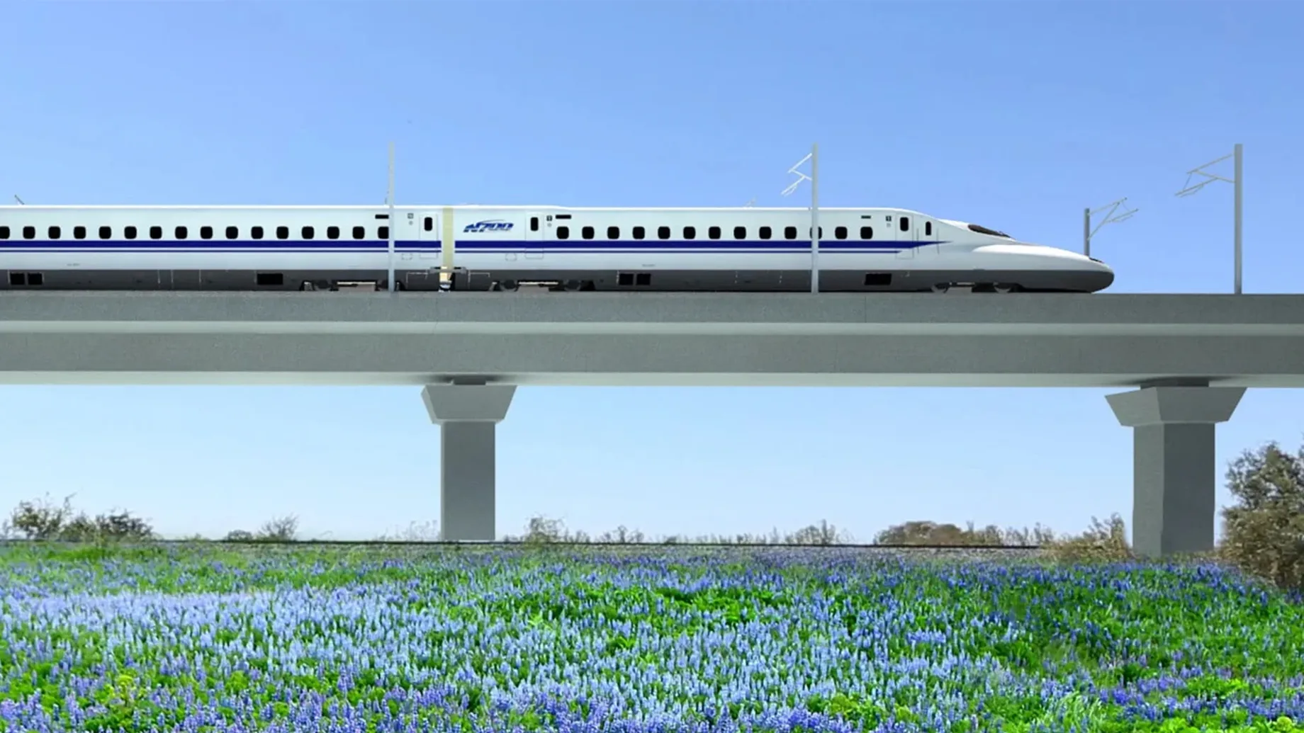 An elevated high-speed train over a field of flowers
